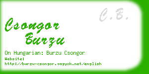 csongor burzu business card